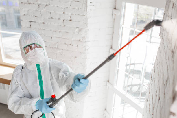 Best Residential Mold Inspection & Testing  in Hannahs Mill, GA