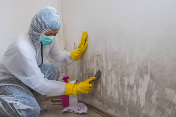 Best Forensic Mold Investigation  in Hannahs Mill, GA