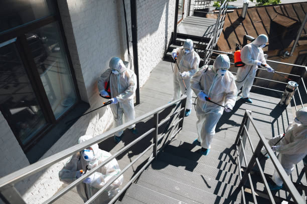 Professional Mold Removal in Hannahs Mill, GA