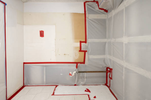 Best Asbestos and Lead Testing During Mold Inspection  in Hannahs Mill, GA