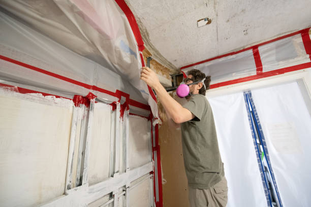 Best Emergency Mold Remediation  in Hannahs Mill, GA