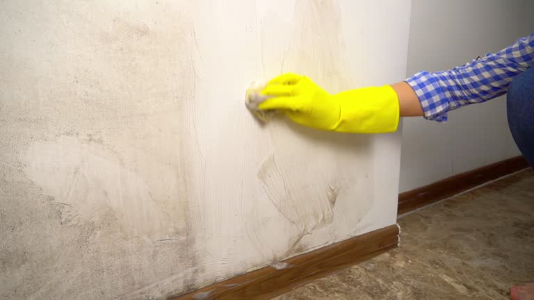 Best Mold Prevention Services  in Hannahs Mill, GA