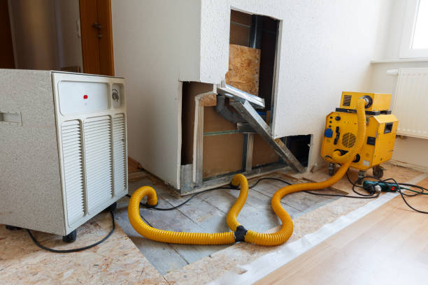 Best Mold Remediation for Healthcare Facilities  in Hannahs Mill, GA