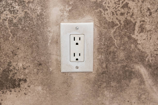 Best Black Mold Removal  in Hannahs Mill, GA